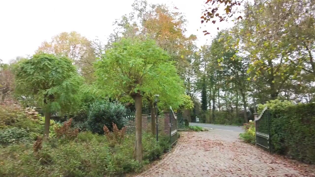 Bekijk video van Weselseweg 80