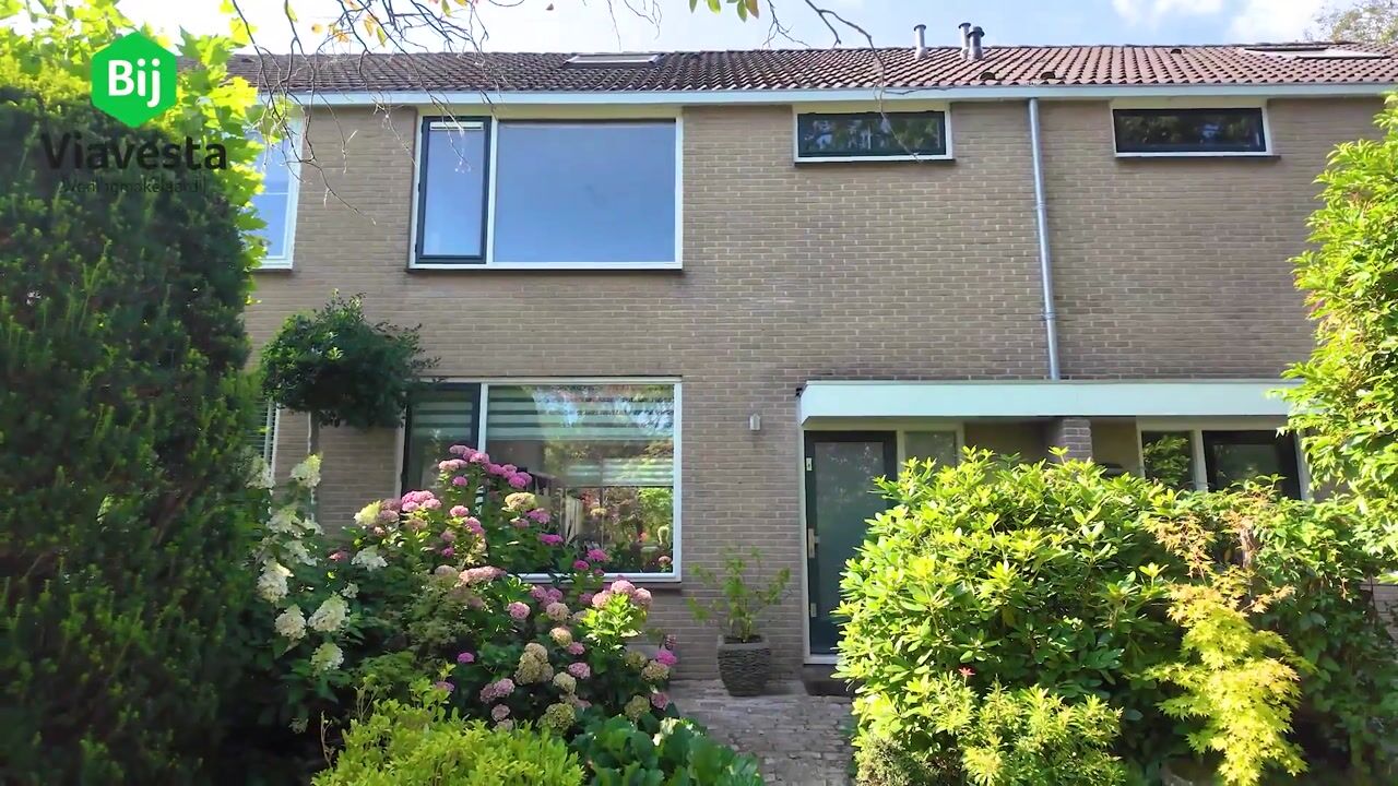 Video van Blommesteinsingel 24