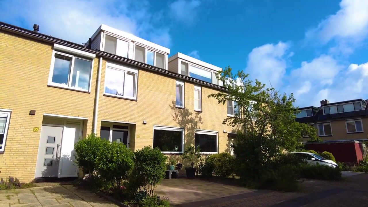 Video of Geelvinkbaai 54