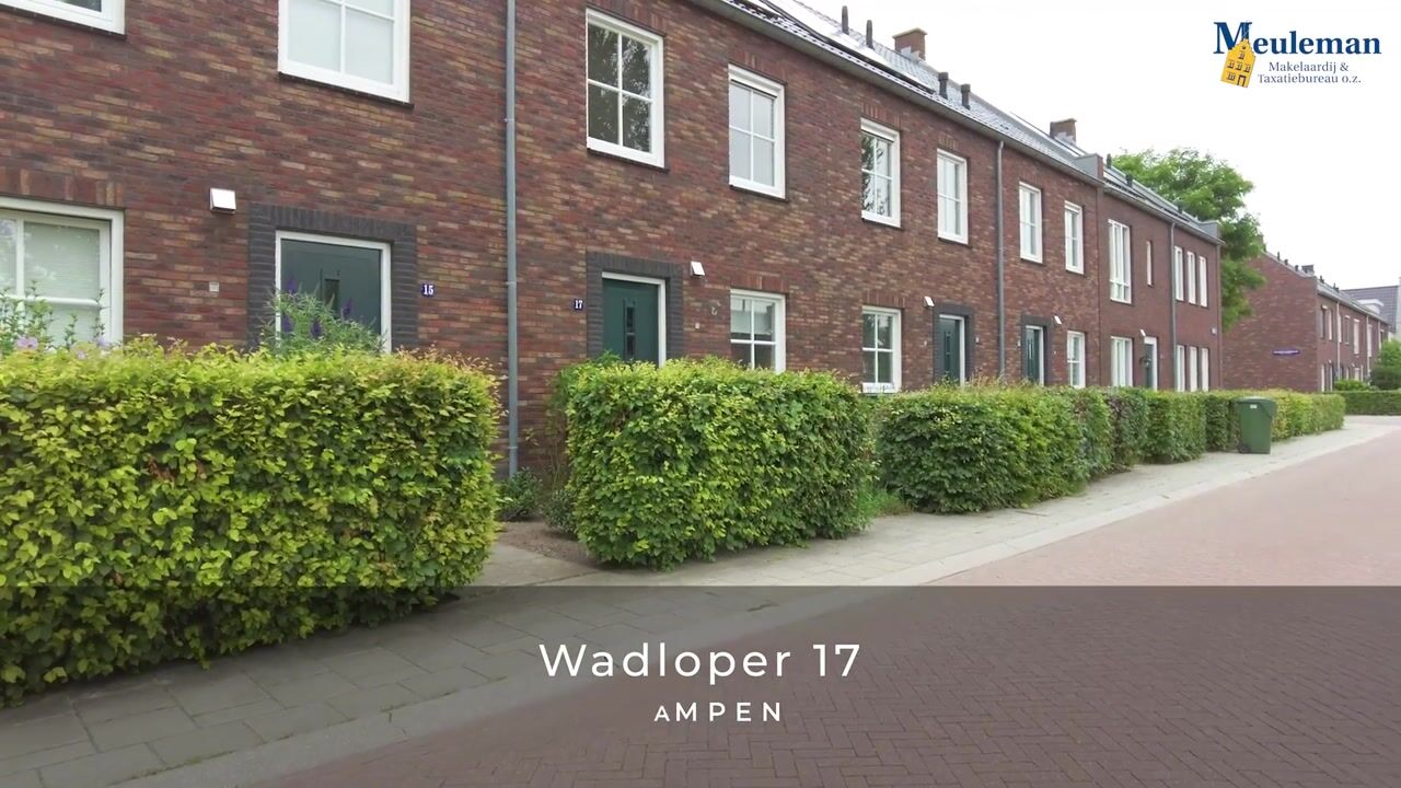 Video van Wadloper 17