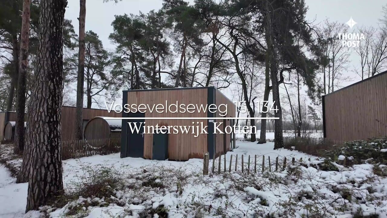 Video van Vosseveldseweg 15-134