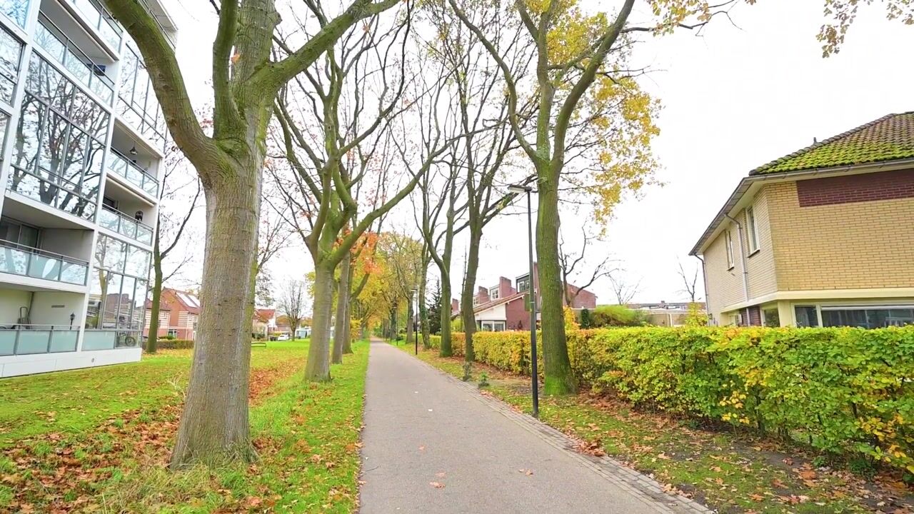 Video of Leonard Springerlaan 50