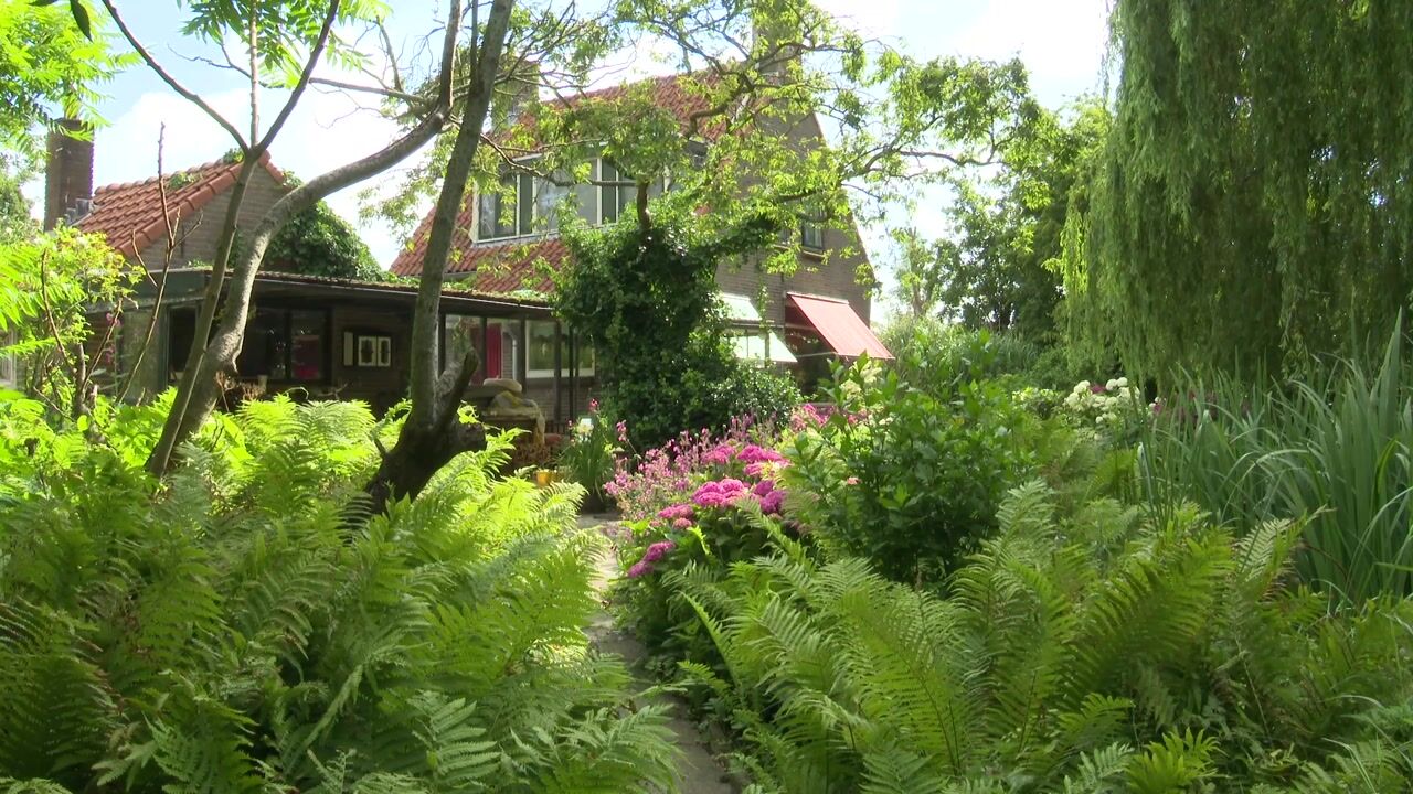 Video of Korte Welleweg 1