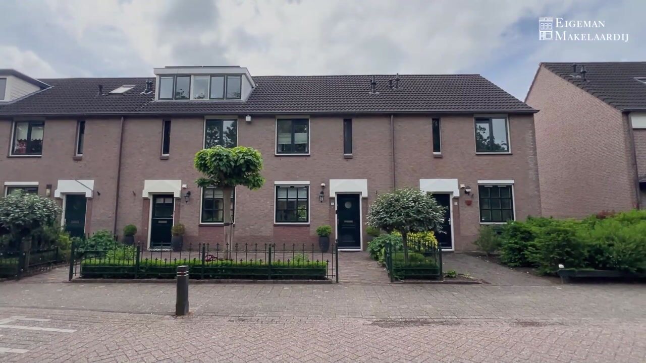 Video of Daslook 31