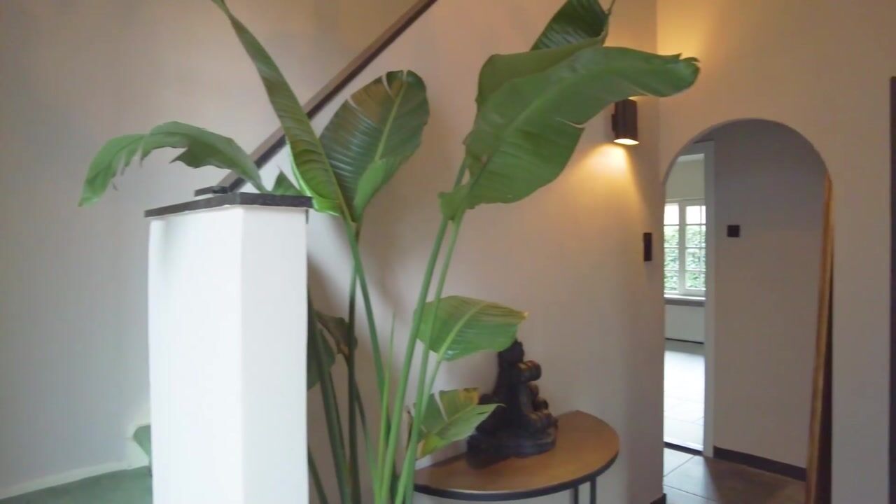 Video van Kerkewijk 133