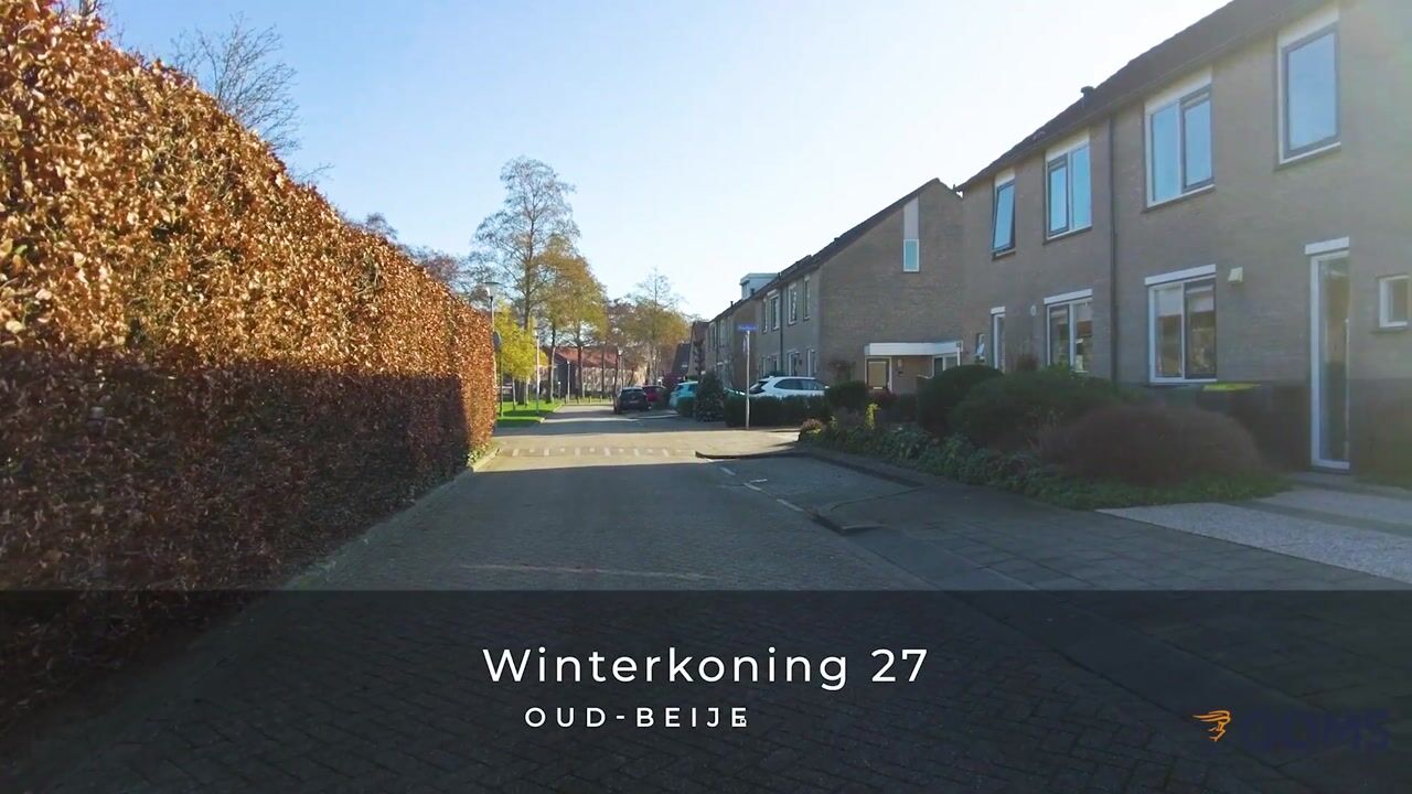 Video of Winterkoning 27