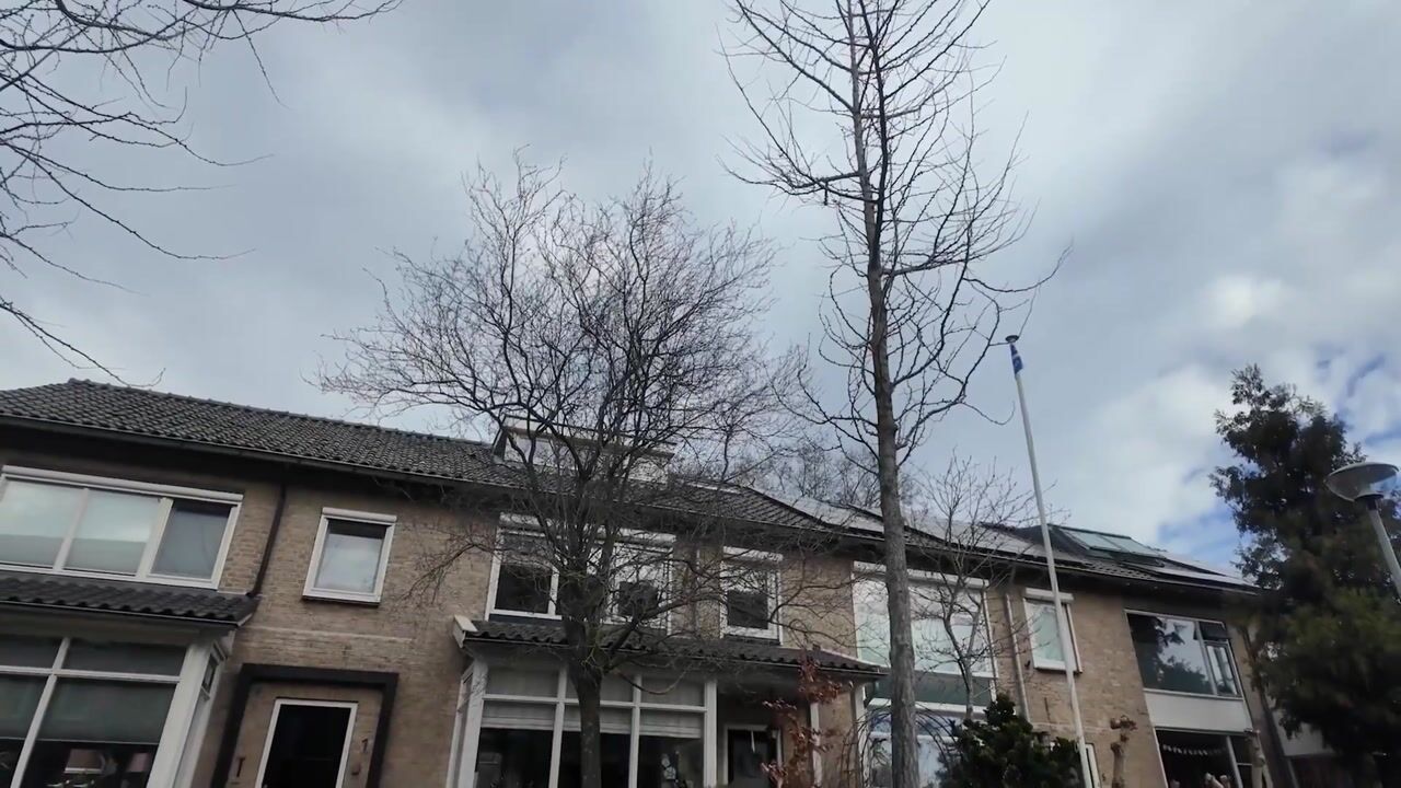 Video van Amalia van Solmslaan 3