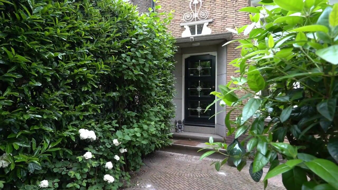 Video van Molenlaan 251