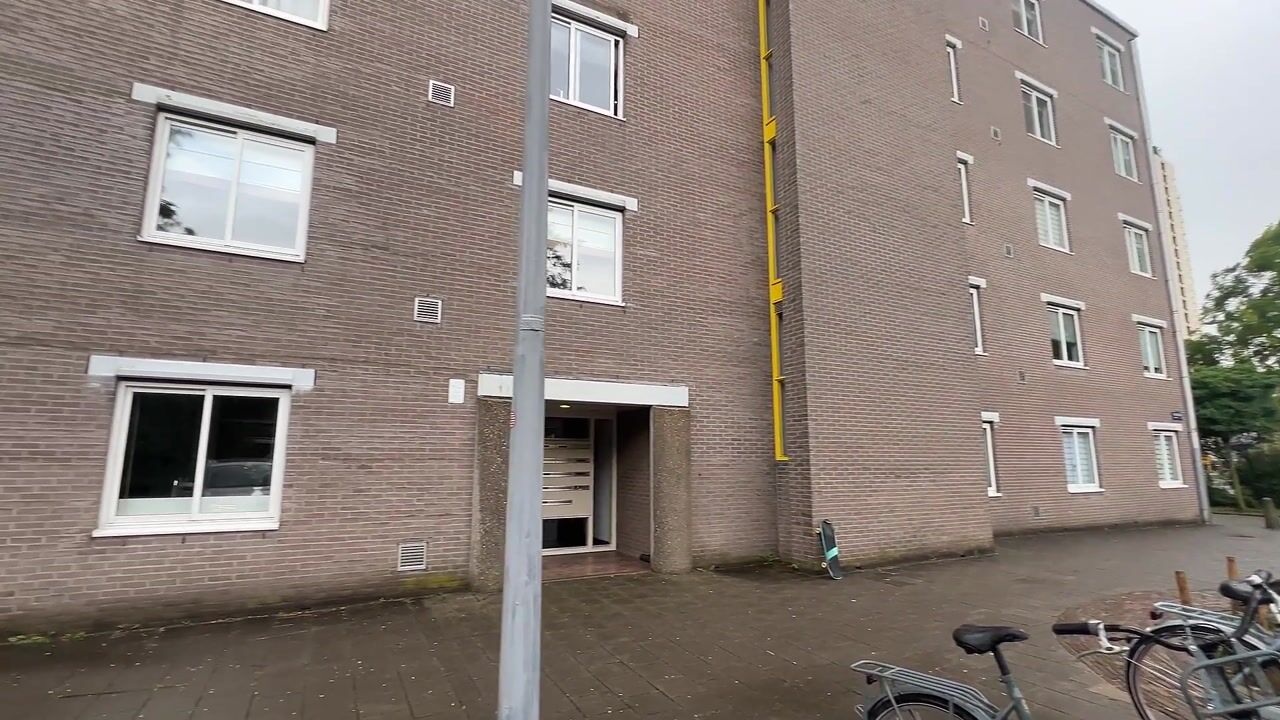 Video van Kranenburg 29