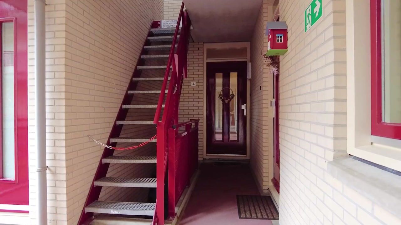 Video of Bongerd 4