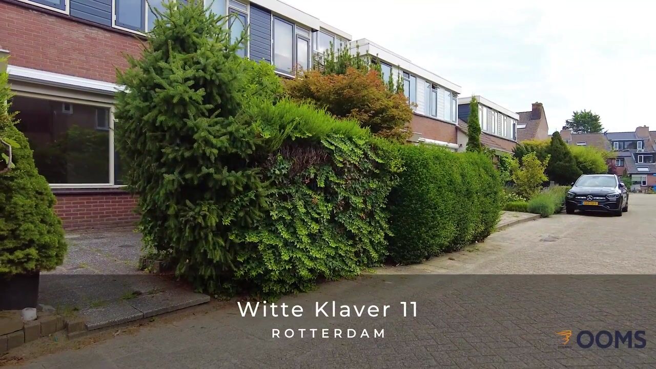 Video van Witte Klaver 11