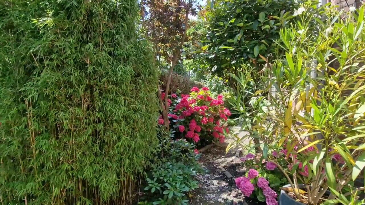 Video van Beetslaan 3