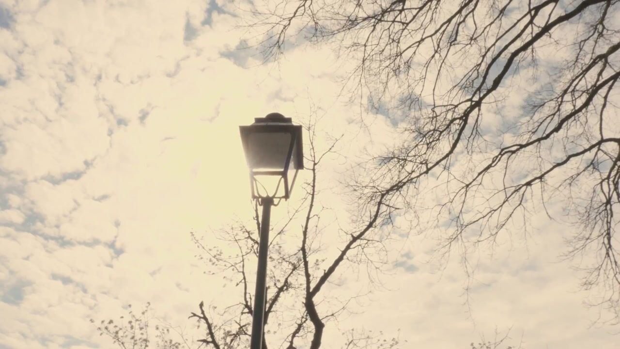 Video van Broekstraat 59