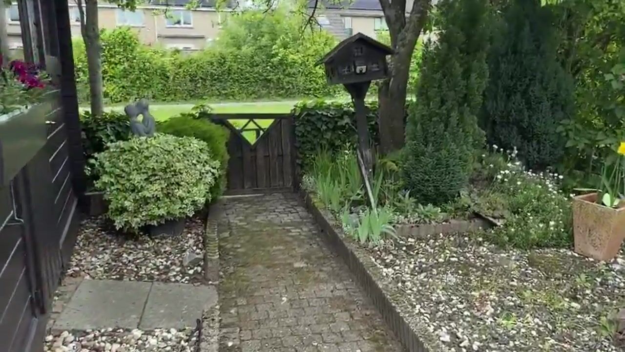 Video van Parelhoen 8