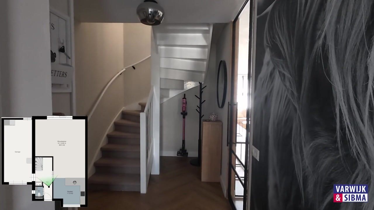 Video van Penningkruid 17
