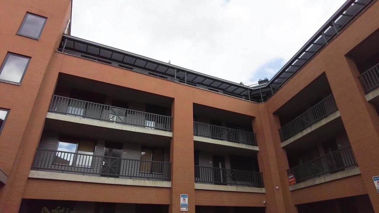 Video van Arendshof 325