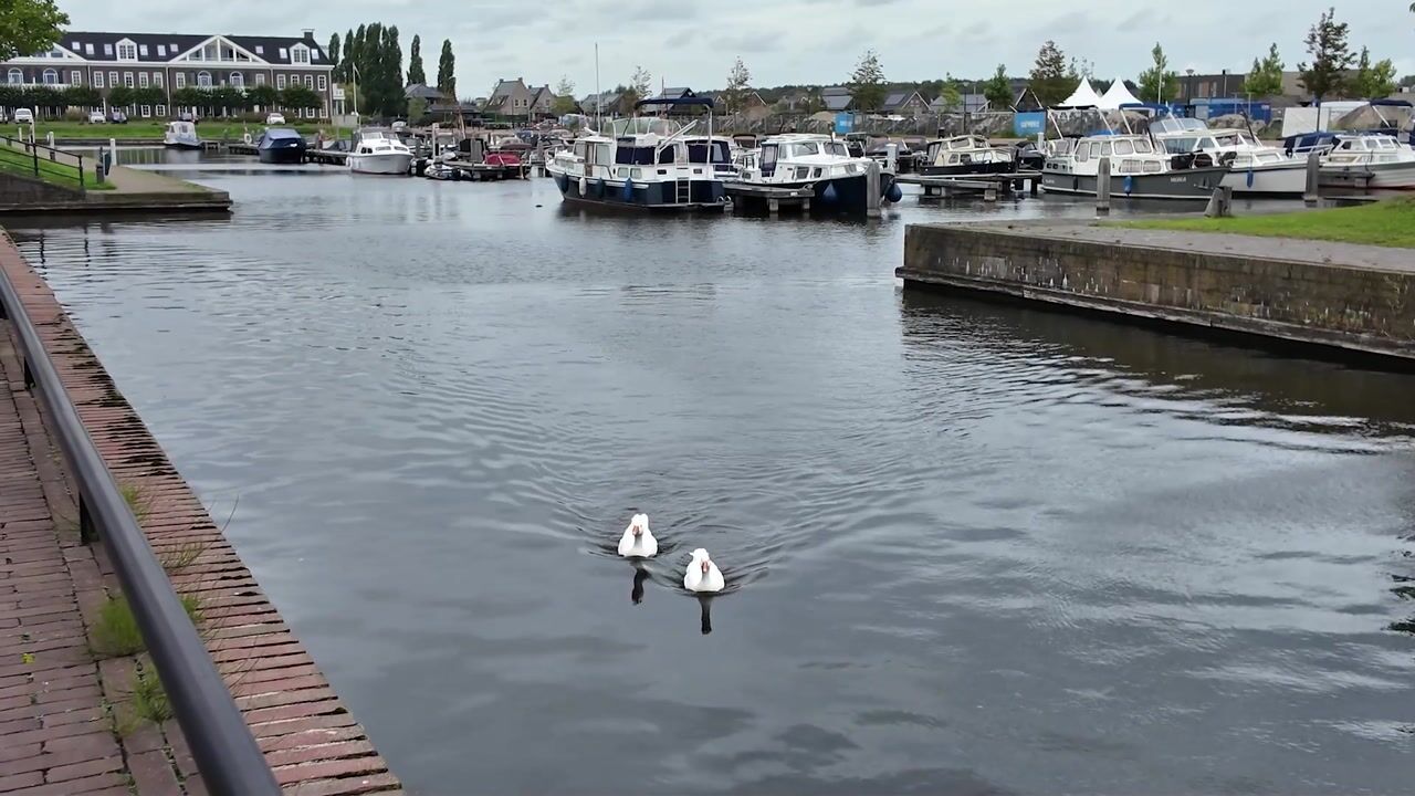 Video of Handelskade 29