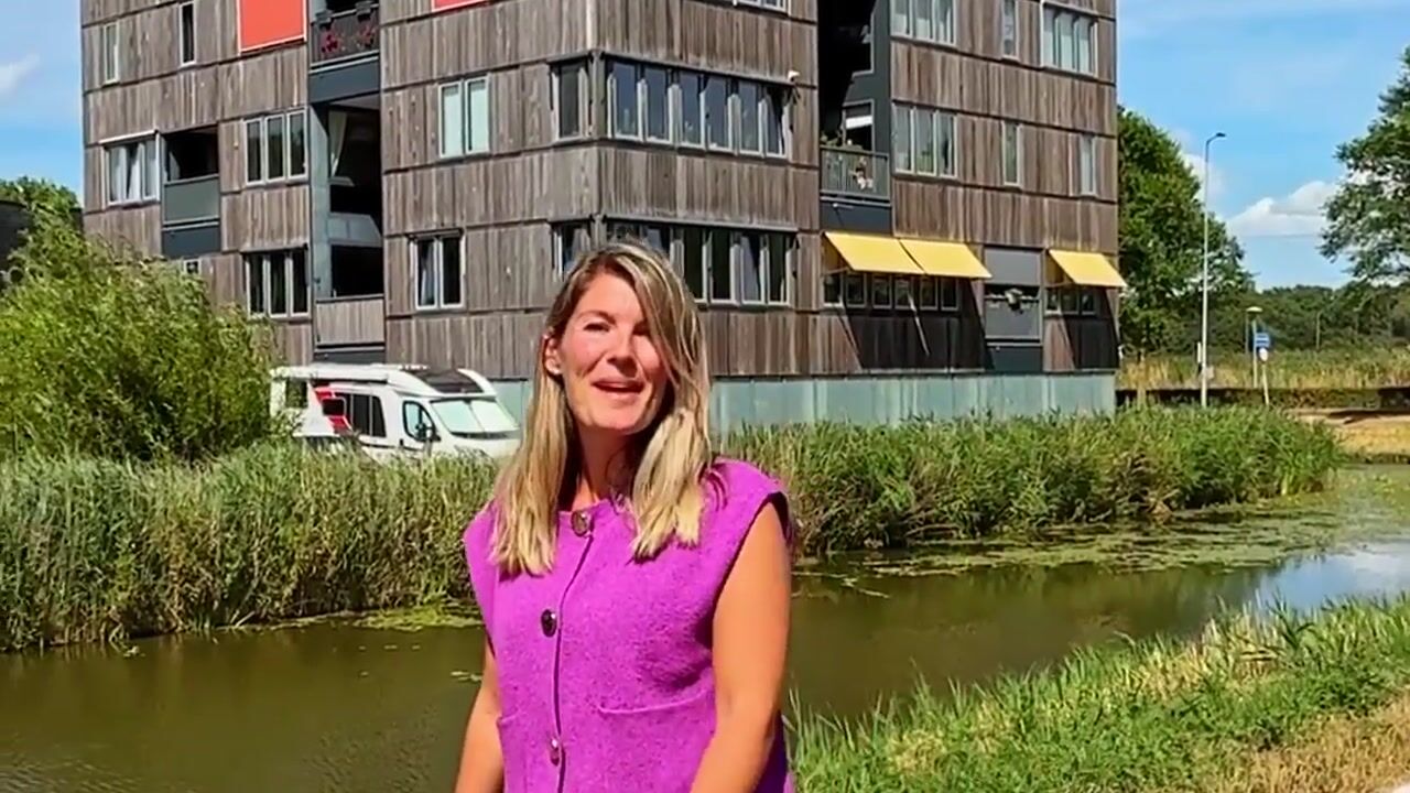 Video van L. Springerstraat 242