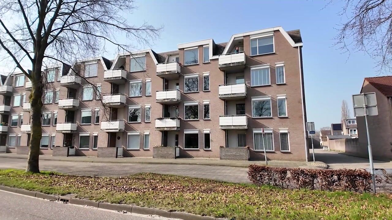 Video van Majoraan 13