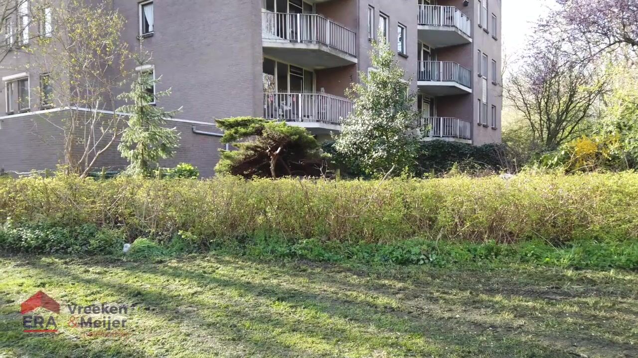 Video of Koraalzwam 167