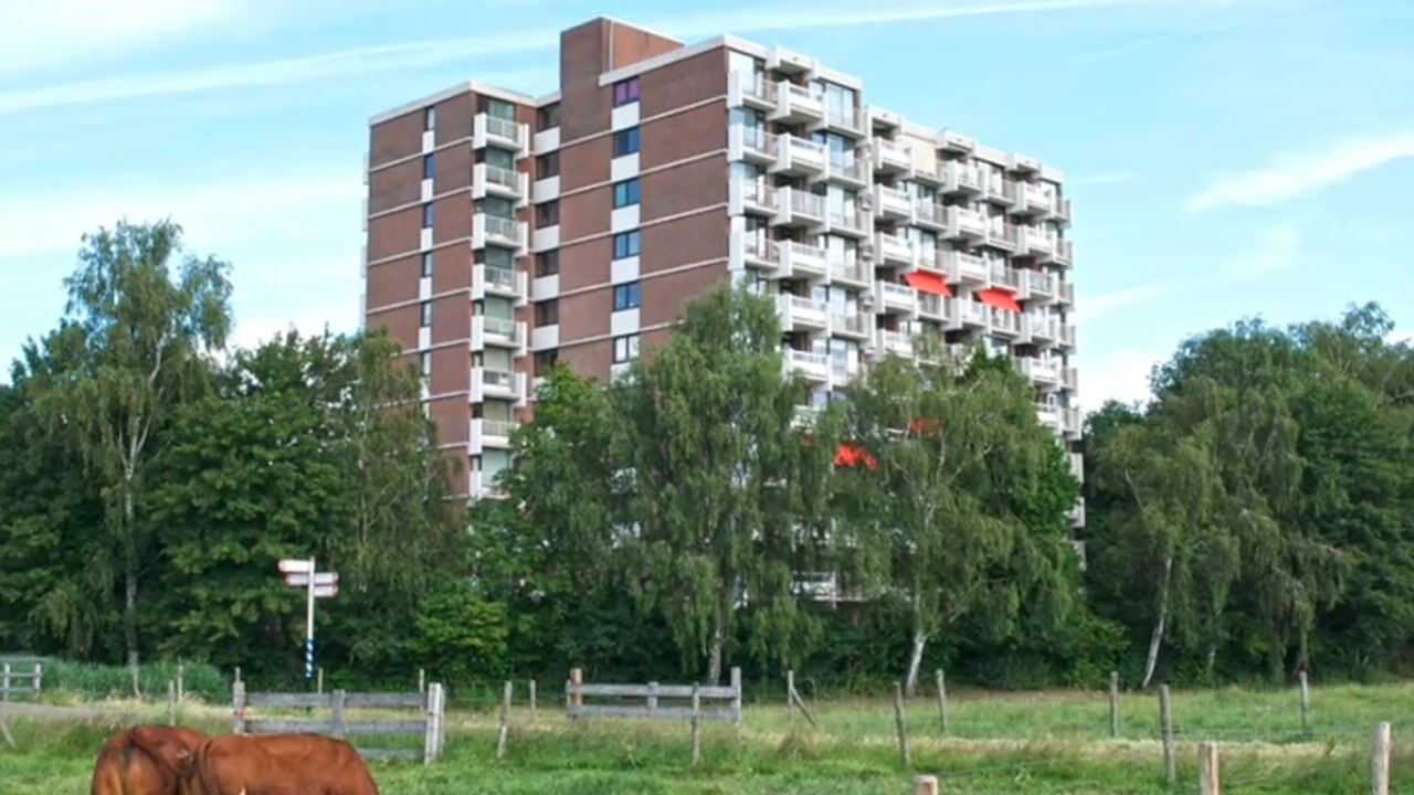 Video of Kringloop 355