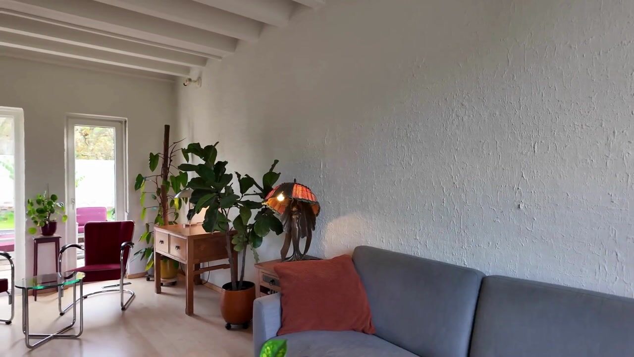 Video of Meidoorn 98