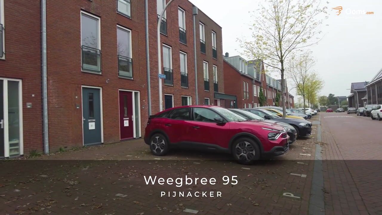 Bekijk video van Weegbree 95