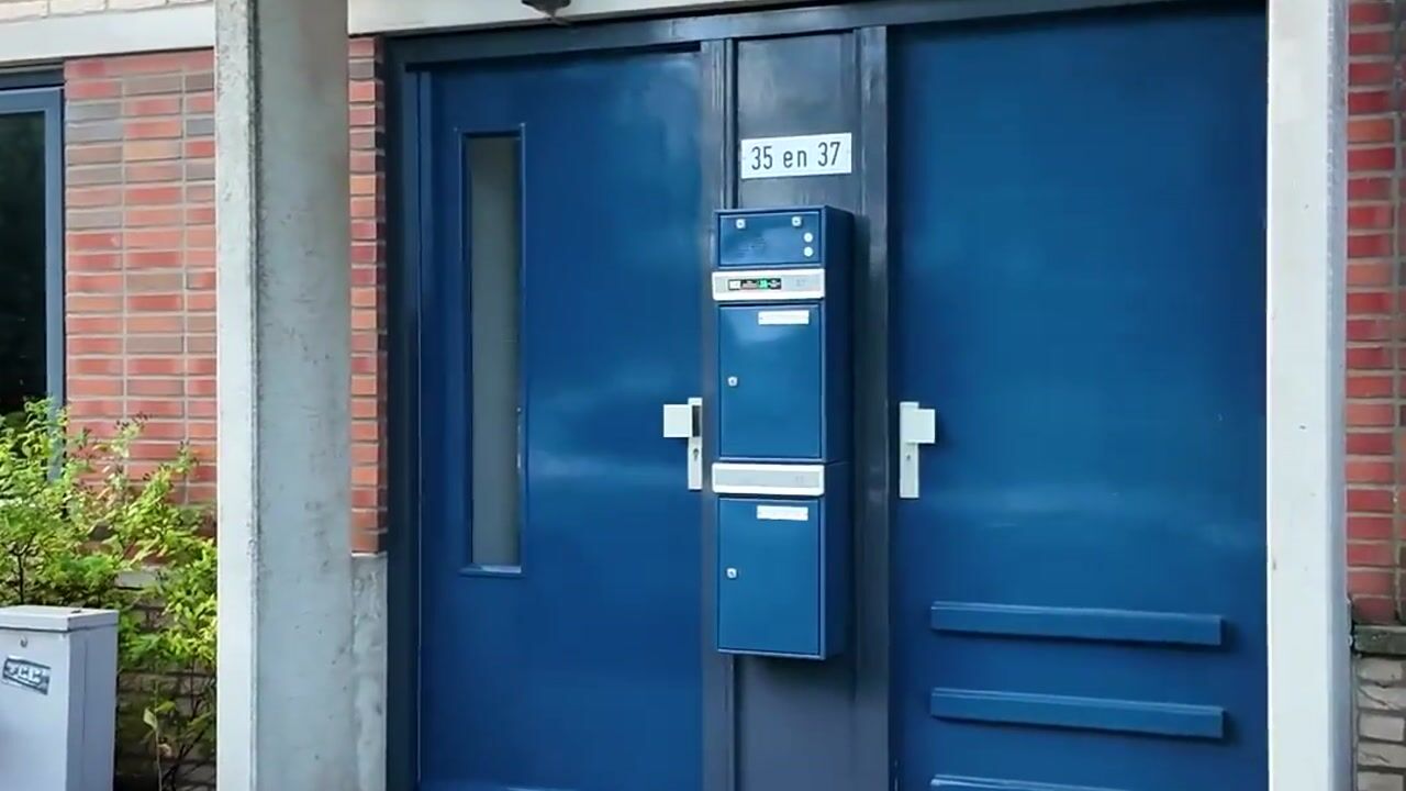 Video van Zeereep 37