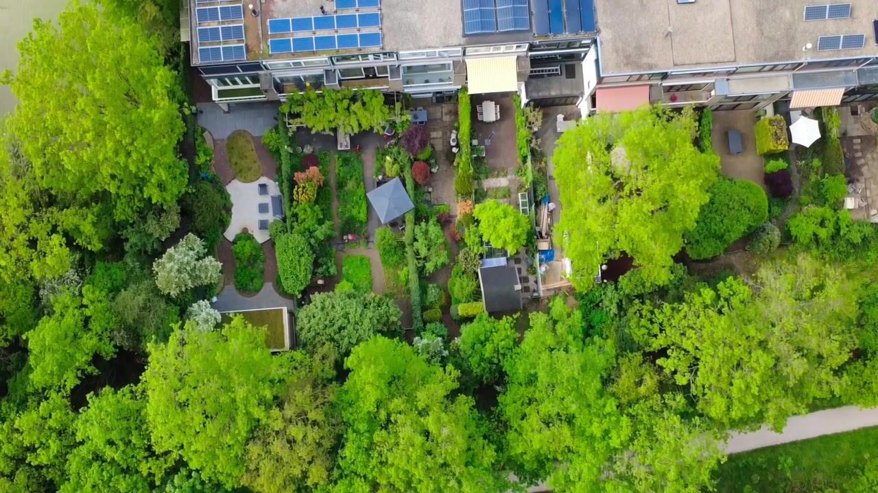 Video van Anne Franklaan 205
