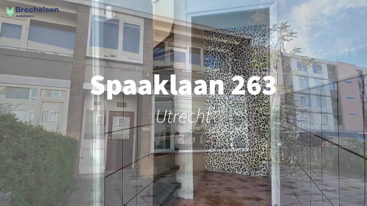 Video van Spaaklaan 263