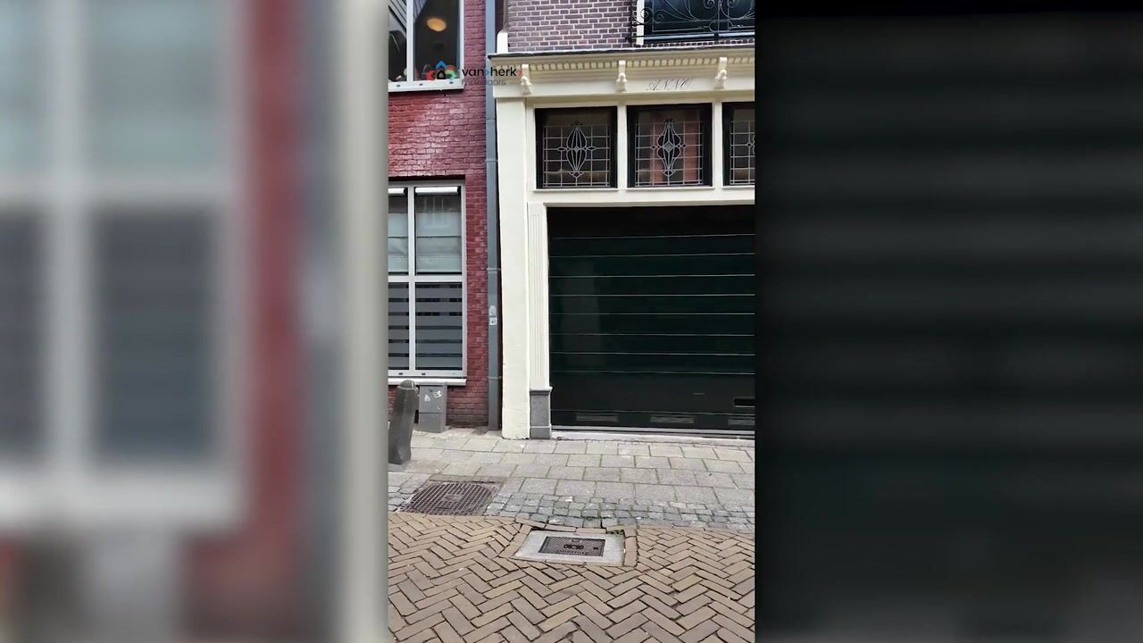 Video van Rozendaal 6