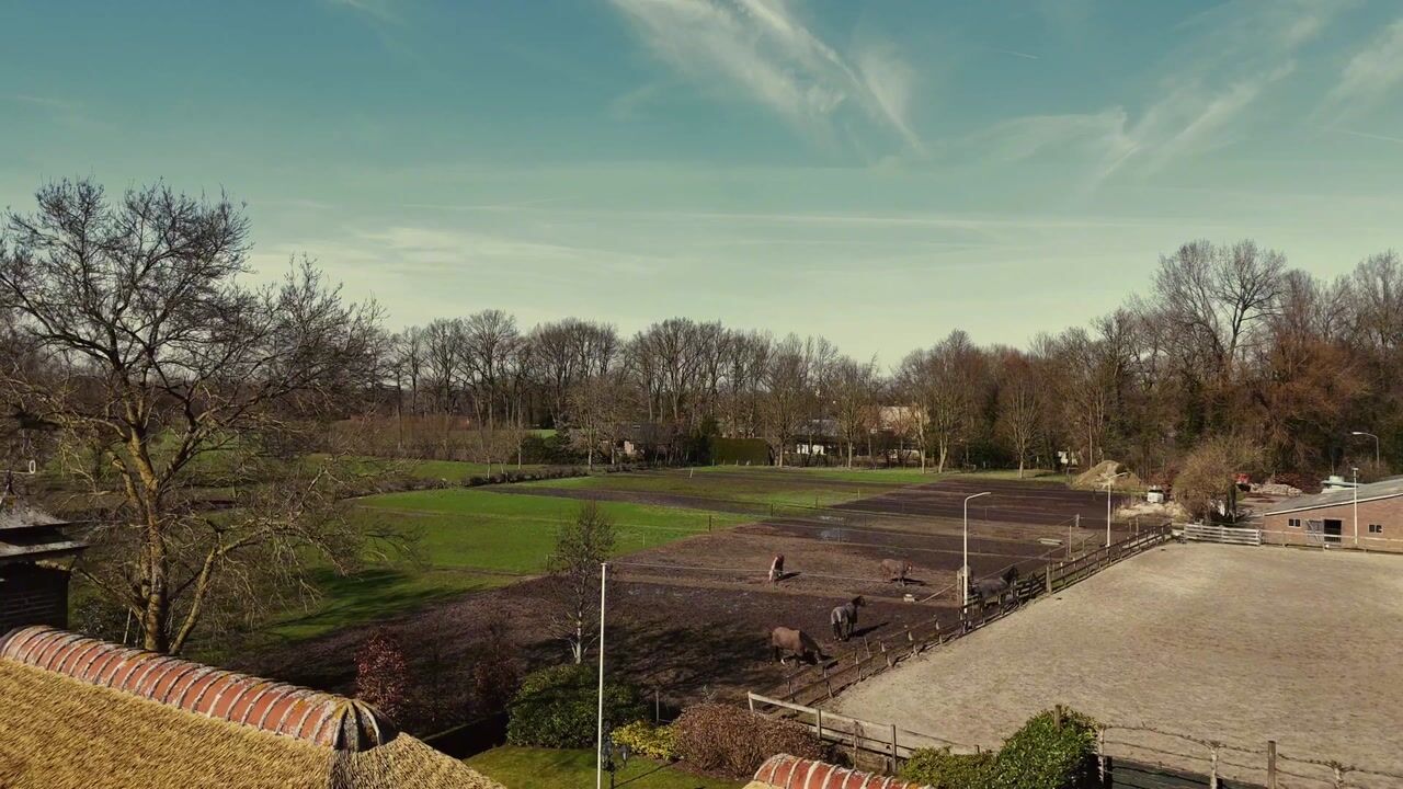 Video van Van Haersoltelaan 58