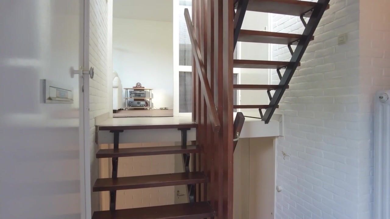 Video of Meijhorst 9203