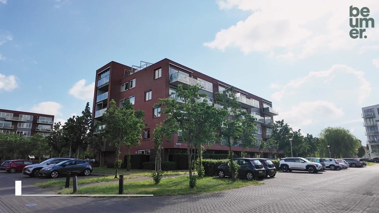 Video of Dwergbloemsingel 2