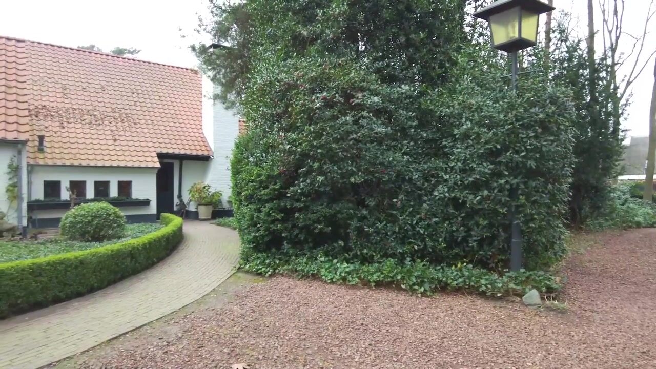 Video van Molenstraat 39