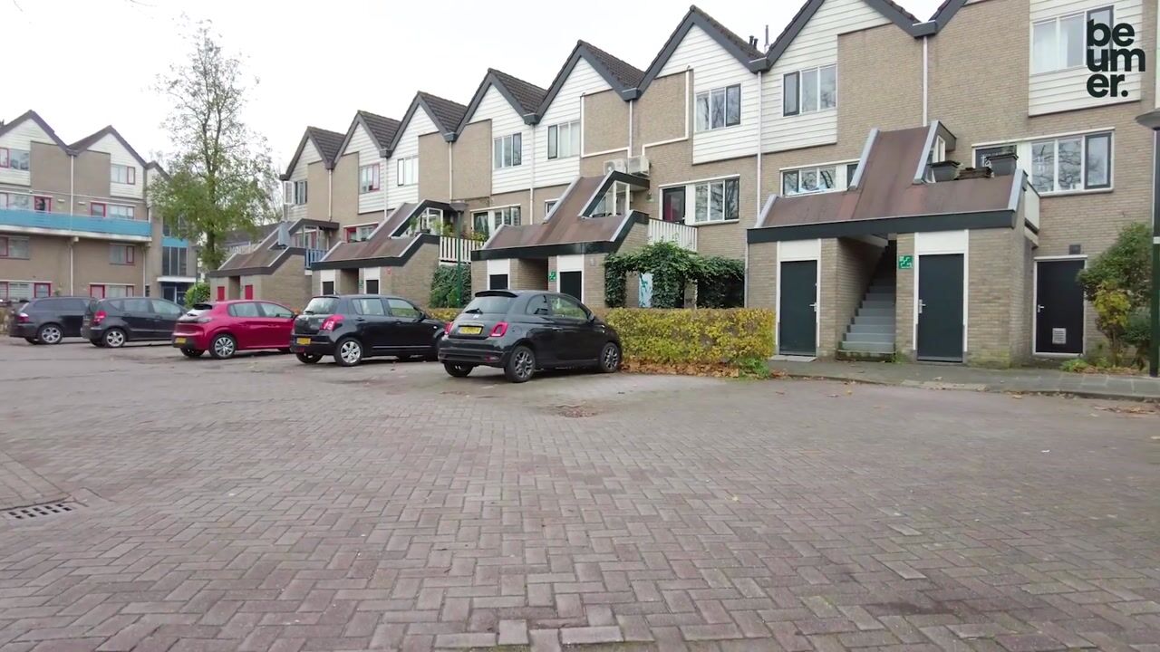 Bekijk video van Antilopespoor 382