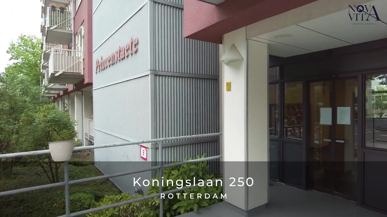 Video van Koningslaan 250