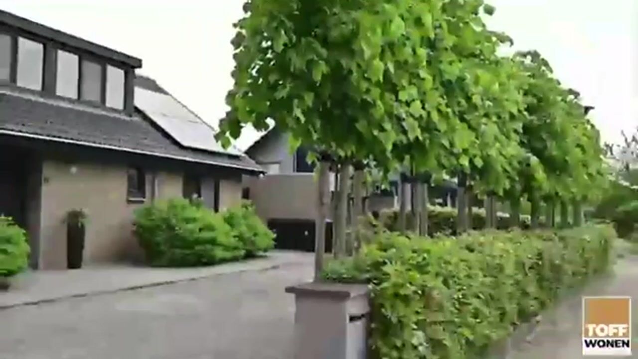 Video van Elisabethpark 11