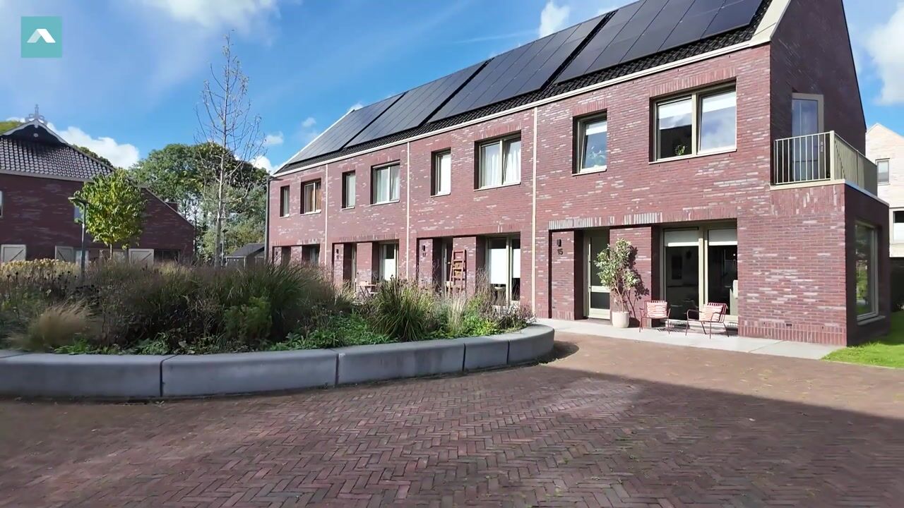 Video of Pijlkruid 15
