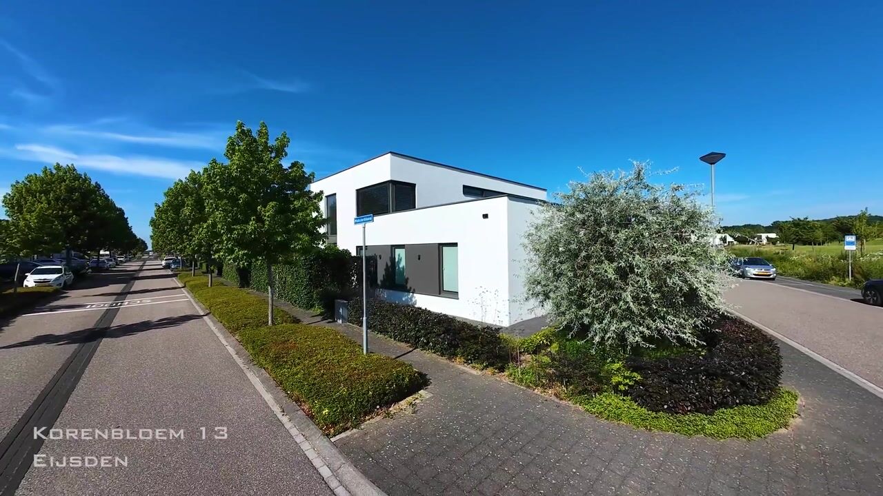 Video van Korenbloem 13