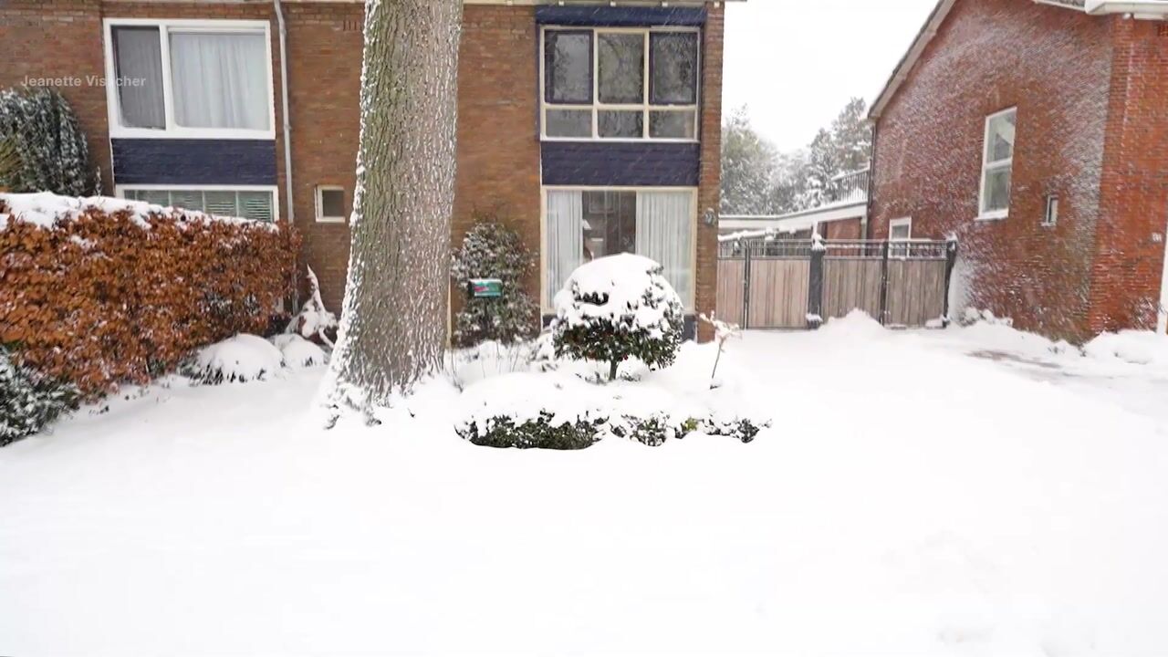 Video van Willem Barentszstraat 59