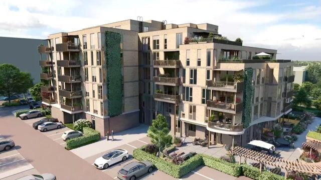 View video of Blooming