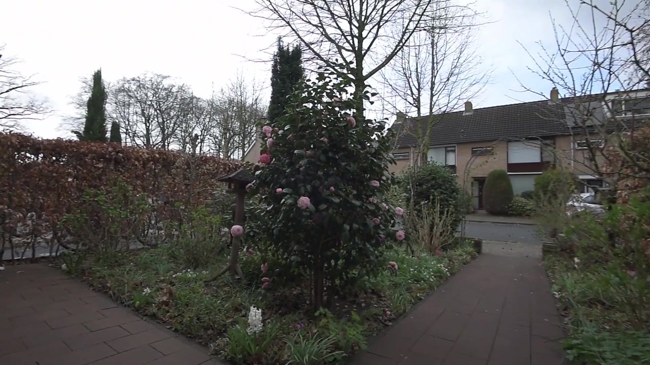 Video of Eisenhowerlaan 41