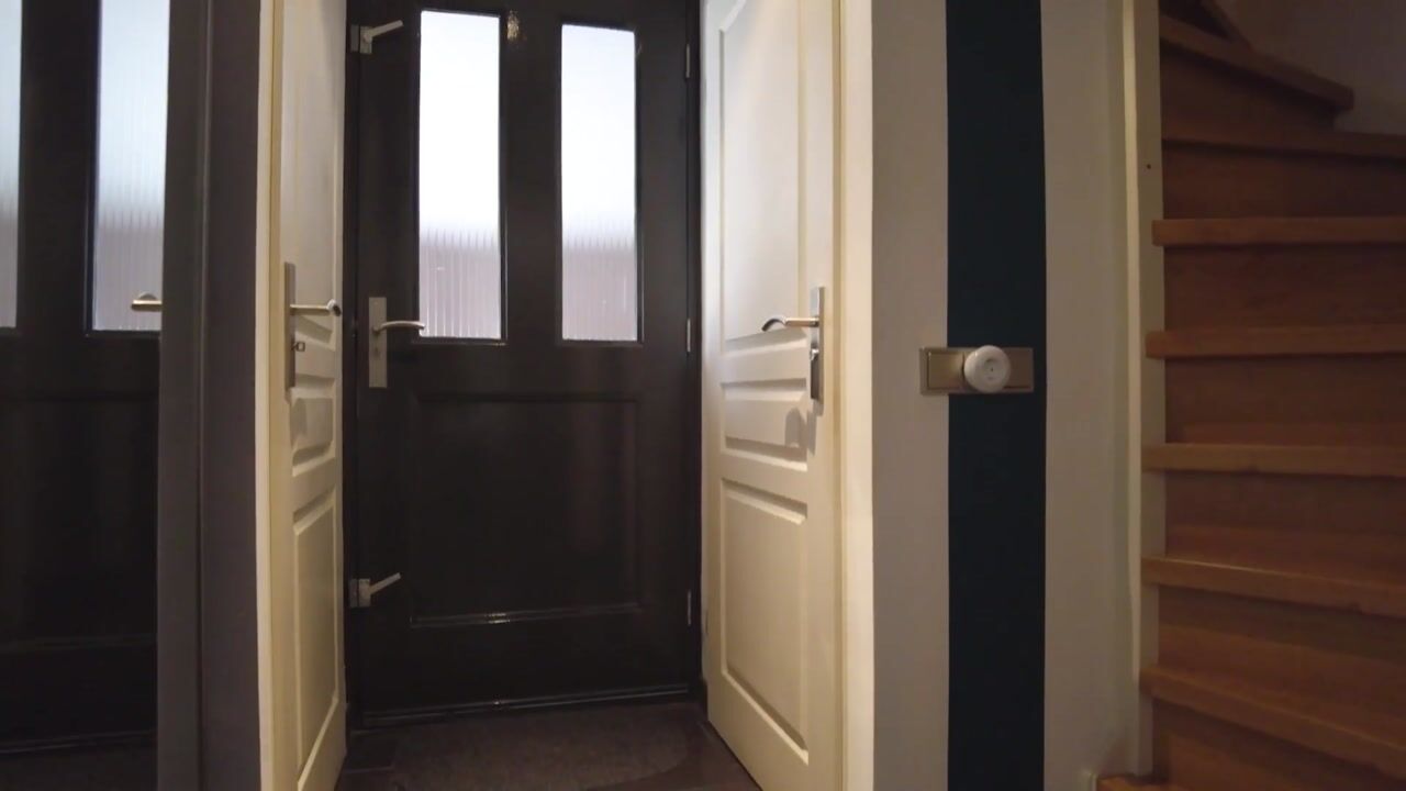 Video van De Welle 7