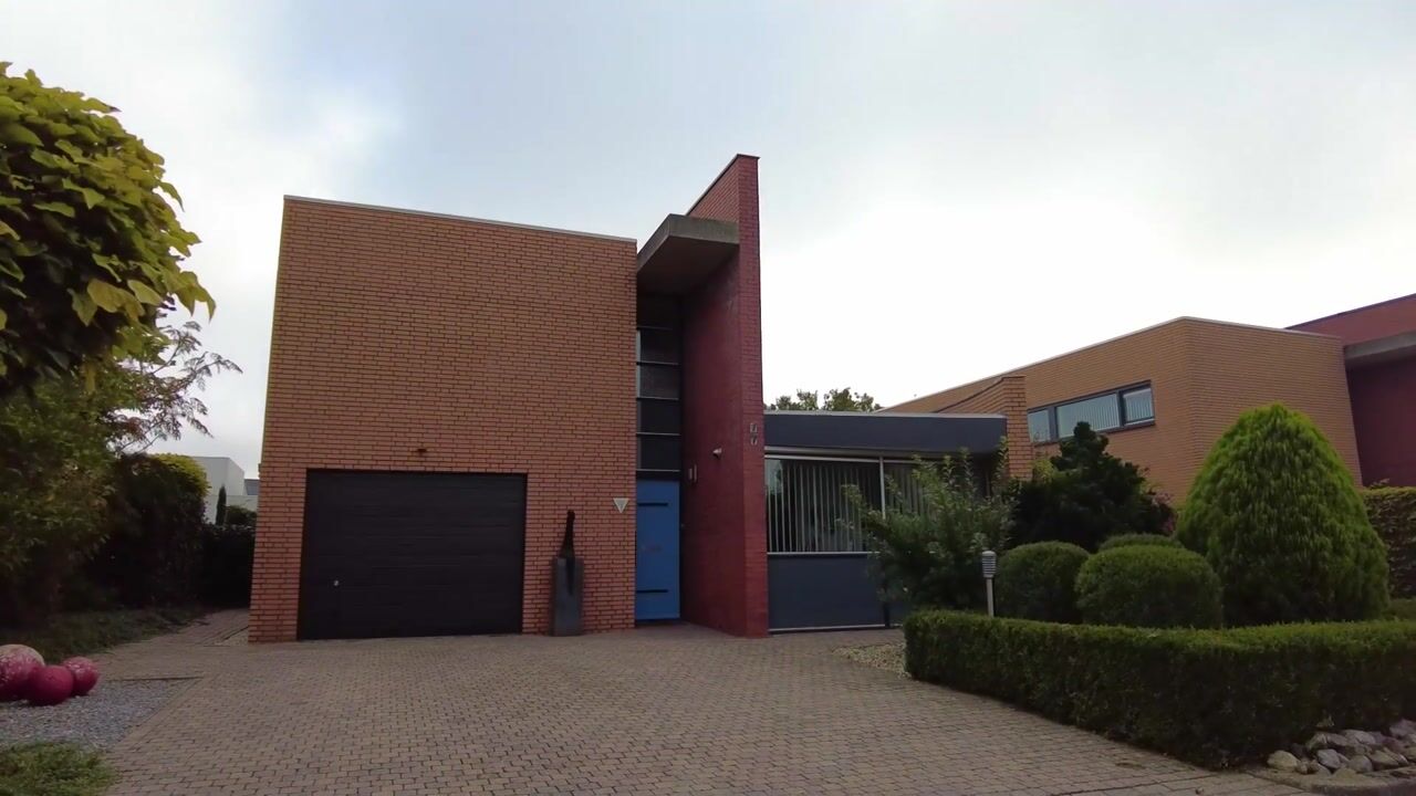 Video van Werner King 3