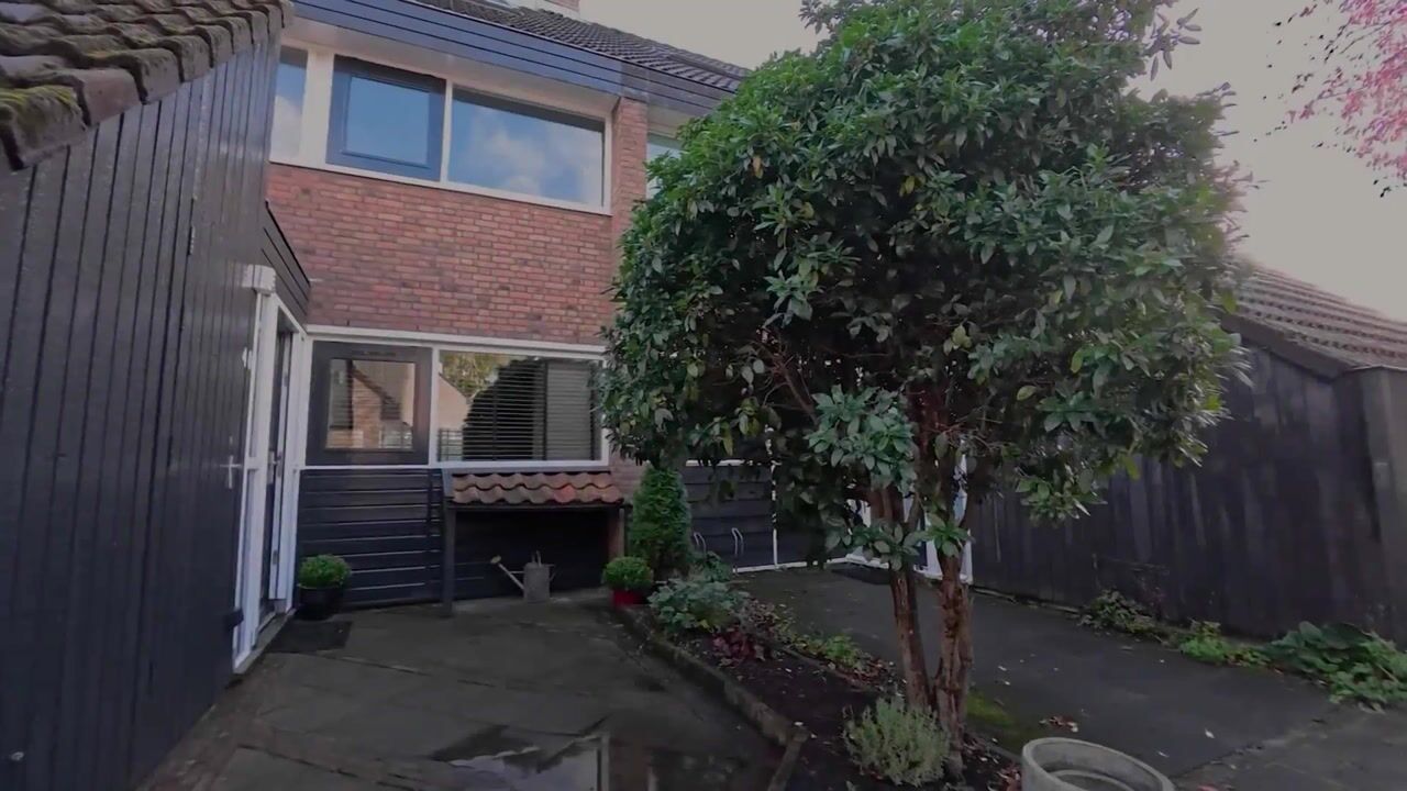 Video of Koggewaard 40