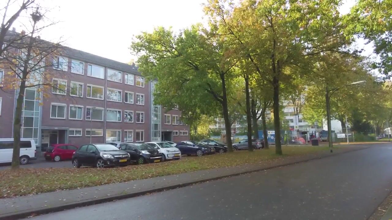 Bekijk video van De Kamp 8