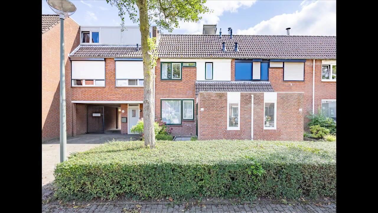 Video van Aronskelk 37