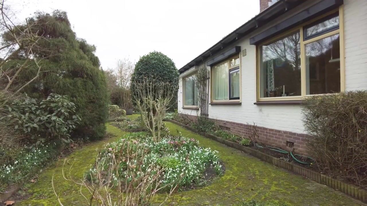 Video van Koninginnelaan 15