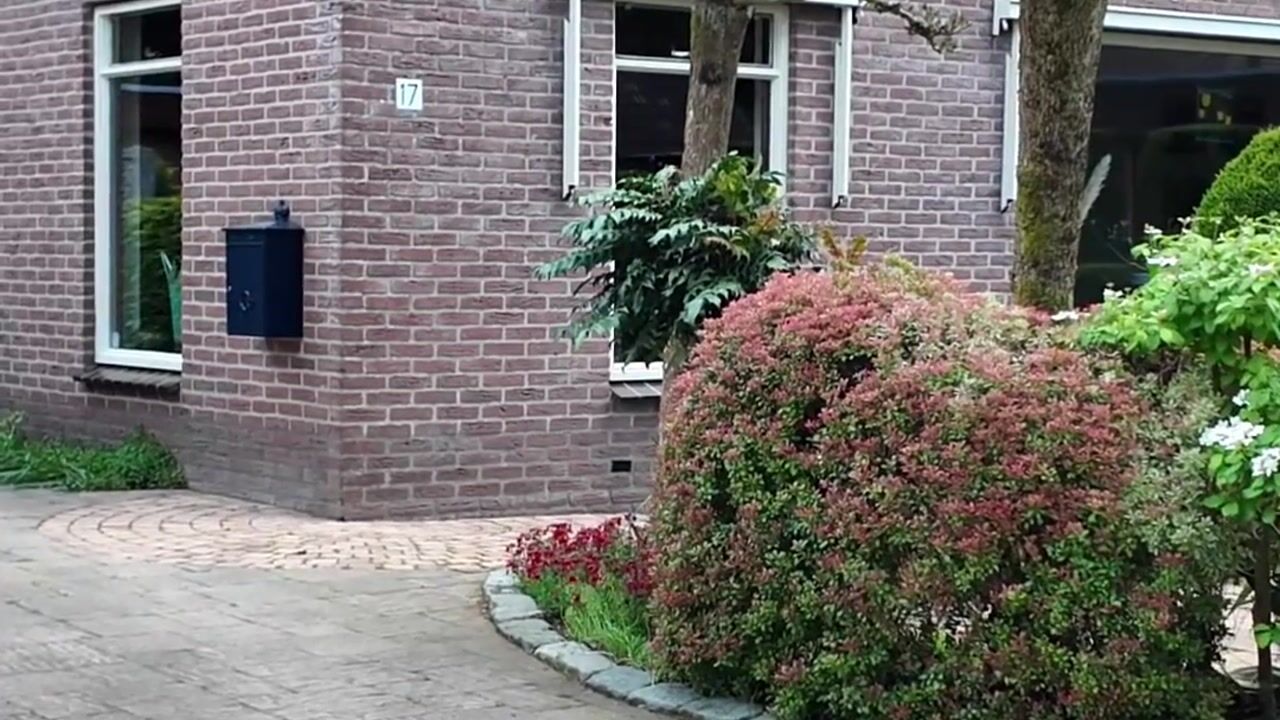 Video van Bremhoek 17